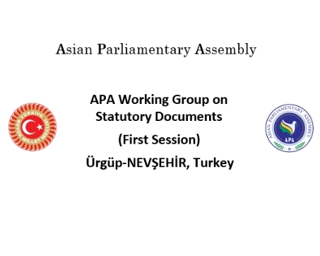  APA Working Group on Statutory Documents (First Session)